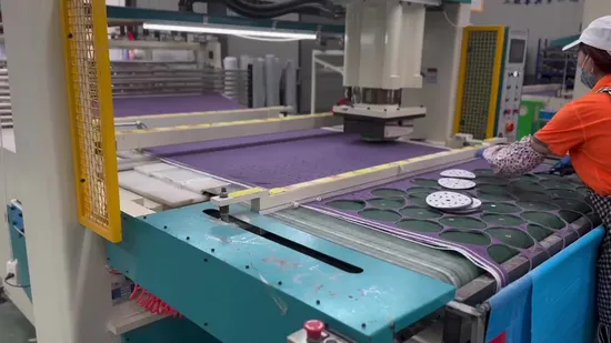 125mm 150mm 5inch 6inch White Yellow Purple Ceramic Hook and Loop Psa Sand Abrasive Sanding Paper for Paint, Metal Automotive Car 