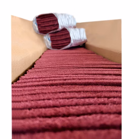 Saclion Nylon Cleaning Non